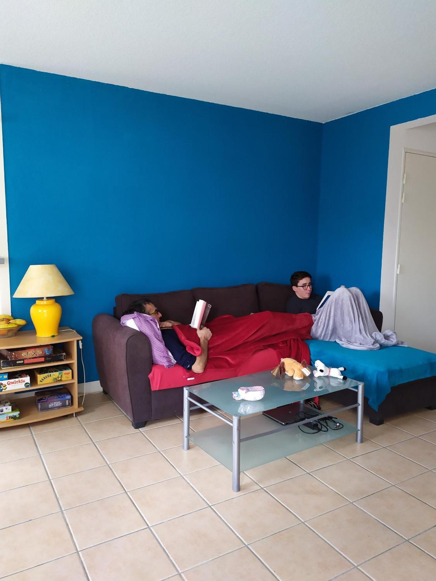 Appartement Carcassonne T3 résidentiel rez de jardin piscine, wifi, tennis, fitness Extérieur photo